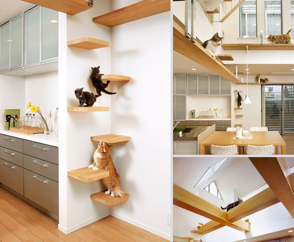 furniture-ideas-for-pet-lovers-and-their-furry-friends23